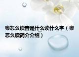 粤怎么读音是什么读什么字（粤怎么读简介介绍）