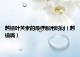 越橘叶黄素的最佳服用时间（越橘属）