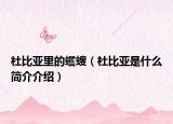 杜比亚里的蠼螋（杜比亚是什么简介介绍）