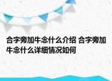 合字旁加牛念什么介绍 合字旁加牛念什么详细情况如何