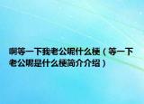 啊等一下我老公呢什么梗（等一下老公呢是什么梗简介介绍）