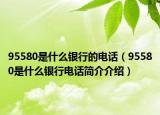 95580是什么银行的电话（95580是什么银行电话简介介绍）