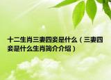 十二生肖三妻四妾是什么（三妻四妾是什么生肖简介介绍）