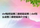 dnf如何设置二级密码设置（dnf怎么设置二级密码简介介绍）