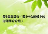 爱5每集简介（爱5什么时候上映时间简介介绍）