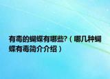 有毒的蝴蝶有哪些?（哪几种蝴蝶有毒简介介绍）