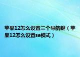 苹果12怎么设置三个导航键（苹果12怎么设置sa模式）