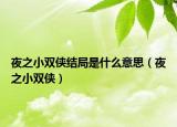 夜之小双侠结局是什么意思（夜之小双侠）