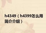 h4349（h4399怎么用简介介绍）