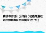 初级导游证什么样的（初级导游证跟中级导游证的区别简介介绍）