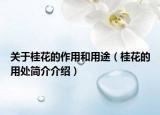 关于桂花的作用和用途（桂花的用处简介介绍）