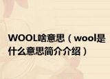 WOOL啥意思（wool是什么意思简介介绍）