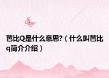 芭比Q是什么意思?（什么叫芭比q简介介绍）