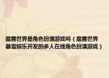 魔兽世界是角色扮演游戏吗（魔兽世界 暴雪娱乐开发的多人在线角色扮演游戏）