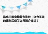洛克王国宠物装备推荐（洛克王国的宠物装备怎么得简介介绍）
