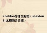 sheldon为什么好笑（sheldon什么梗简介介绍）