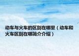 动车与火车的区别在哪里（动车和火车区别在哪简介介绍）