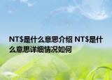 NT$是什么意思介绍 NT$是什么意思详细情况如何