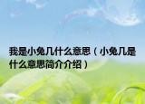我是小兔几什么意思（小兔几是什么意思简介介绍）