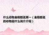 什么动物金榜题名第一（金榜题名的动物是什么简介介绍）