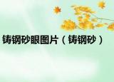 铸钢砂眼图片（铸钢砂）