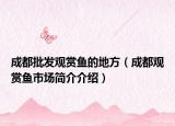 成都批发观赏鱼的地方（成都观赏鱼市场简介介绍）