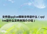 文件里qqlive媒体文件是什么（qqlive是什么文件夹简介介绍）