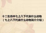 十二生肖中七上八下代表什么动物（七上八下代表什么动物简介介绍）