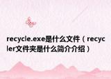 recycle.exe是什么文件（recycler文件夹是什么简介介绍）