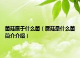 菌菇属于什么菌（蘑菇是什么菌简介介绍）