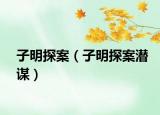 子明探案（子明探案潜谋）
