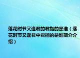 落花时节又逢君的君指的是谁（落花时节又逢君中君指的是谁简介介绍）