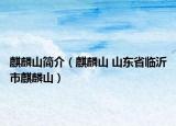 麒麟山简介（麒麟山 山东省临沂市麒麟山）