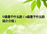 U盘是干什么的（u盘是干什么的简介介绍）