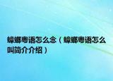 蟑螂粤语怎么念（蟑螂粤语怎么叫简介介绍）