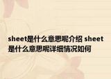 sheet是什么意思呢介绍 sheet是什么意思呢详细情况如何