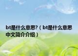 bt是什么意思?（bt是什么意思中文简介介绍）