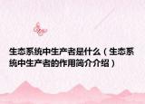 生态系统中生产者是什么（生态系统中生产者的作用简介介绍）