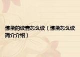 惊蛰的读音怎么读（惊蛰怎么读简介介绍）