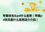 苹果快充头pd什么意思（苹果pd快充是什么意思简介介绍）