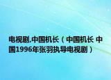 电视剧,中国机长（中国机长 中国1996年张羽执导电视剧）