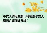 小女人的电视剧（电视剧小女人剧情介绍简介介绍）