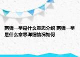 两弹一星是什么意思介绍 两弹一星是什么意思详细情况如何