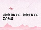 锦鲤鱼有须子吗（鲤鱼有须子吗简介介绍）