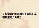 了解蝴蝶的家在哪里（蝴蝶的家在哪里简介介绍）