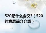 520是什么含义?（520的意思简介介绍）