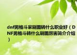dnf男格斗家刷图转什么职业好（DNF男格斗转什么刷图厉害简介介绍）