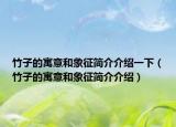 竹子的寓意和象征简介介绍一下（竹子的寓意和象征简介介绍）