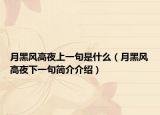 月黑风高夜上一句是什么（月黑风高夜下一句简介介绍）