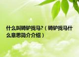 什么叫骑驴找马?（骑驴找马什么意思简介介绍）